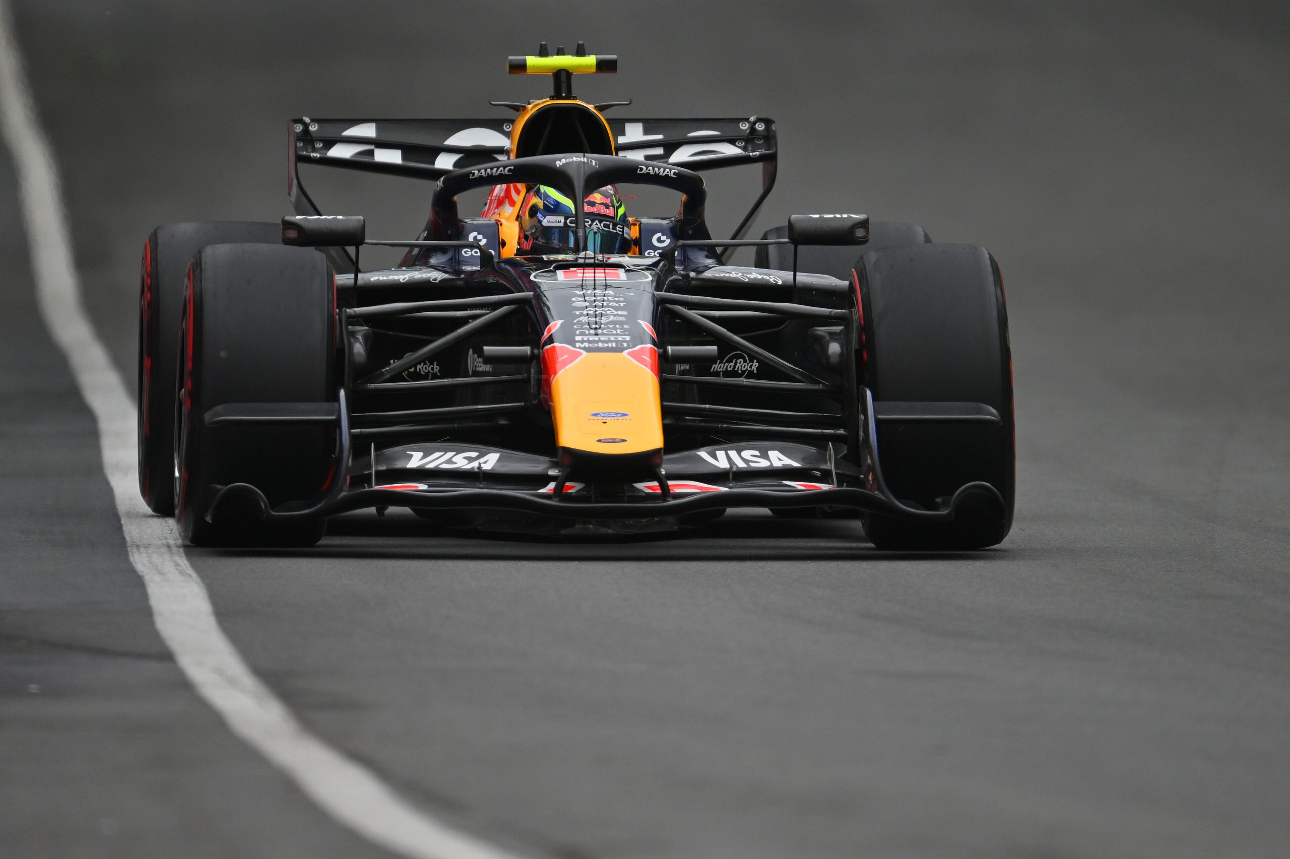 Hadjar - Red Bull